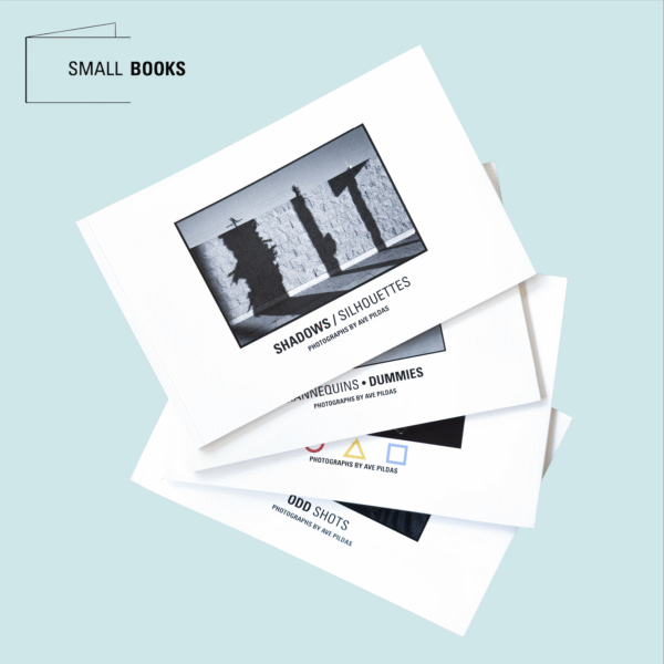 Small Books by Ave Pildas